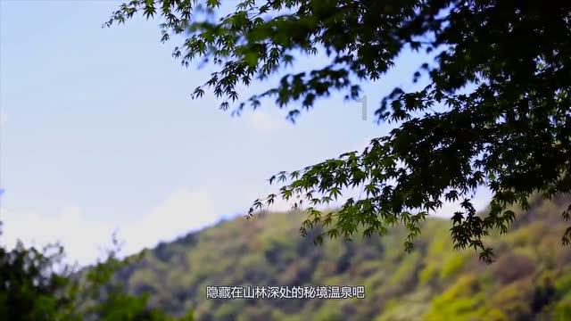 呆萌动物对对碰